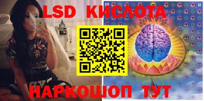 PSILOCYBIN Нальчик