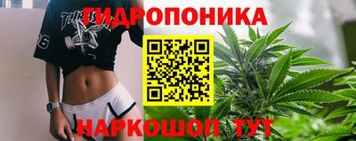 PSILOCYBIN Нальчик