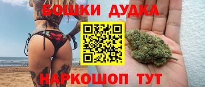 PSILOCYBIN Нальчик